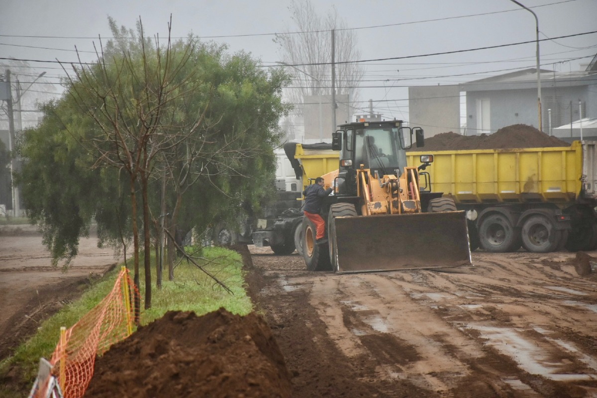 Imagen 5