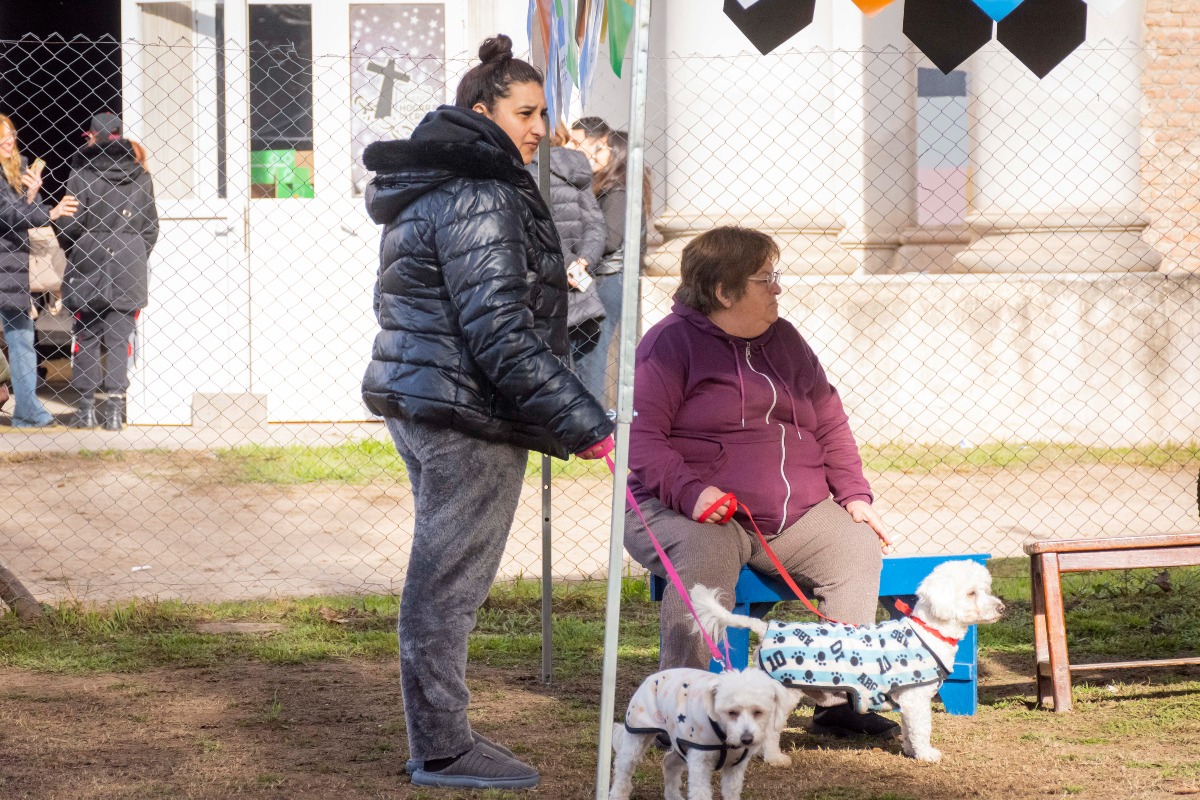 Imagen 2