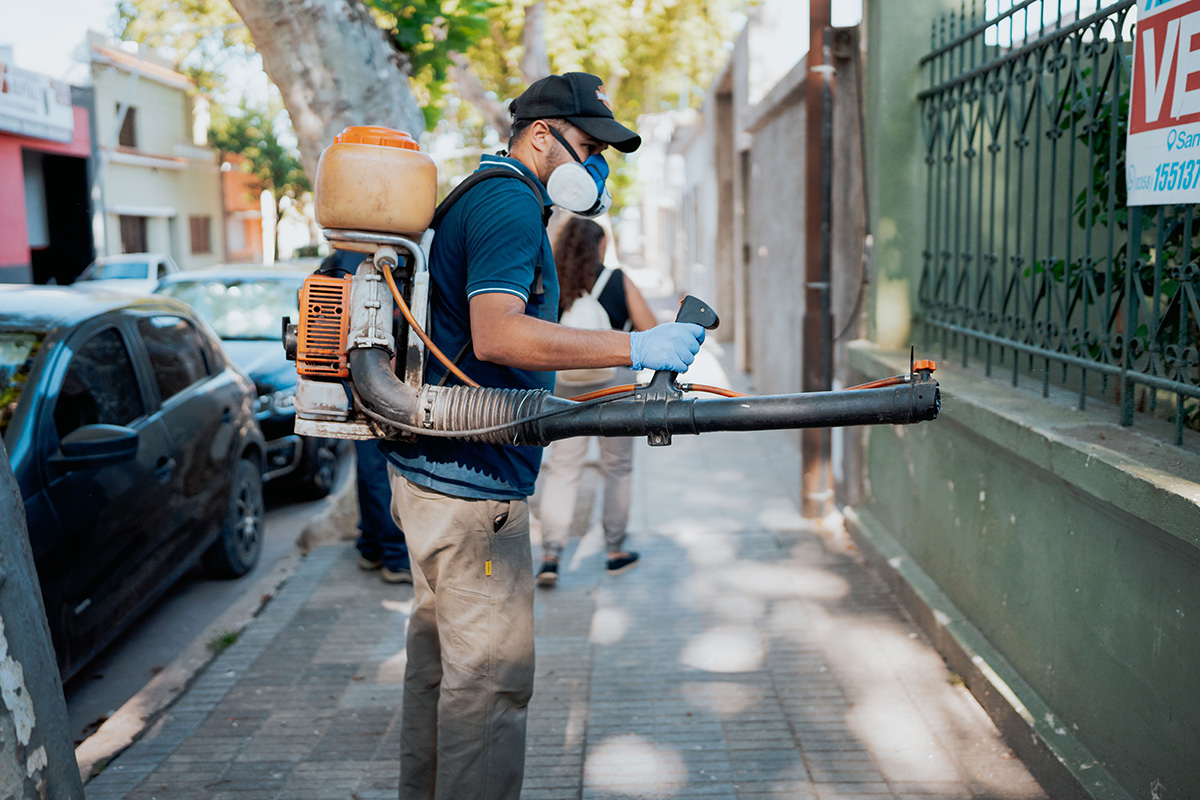 Avanza la fumigación contra el dengue