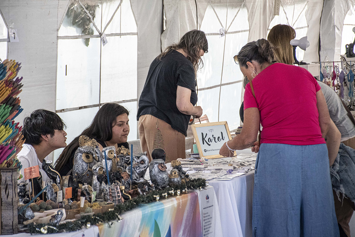 Continúan las peatonales navideñas
