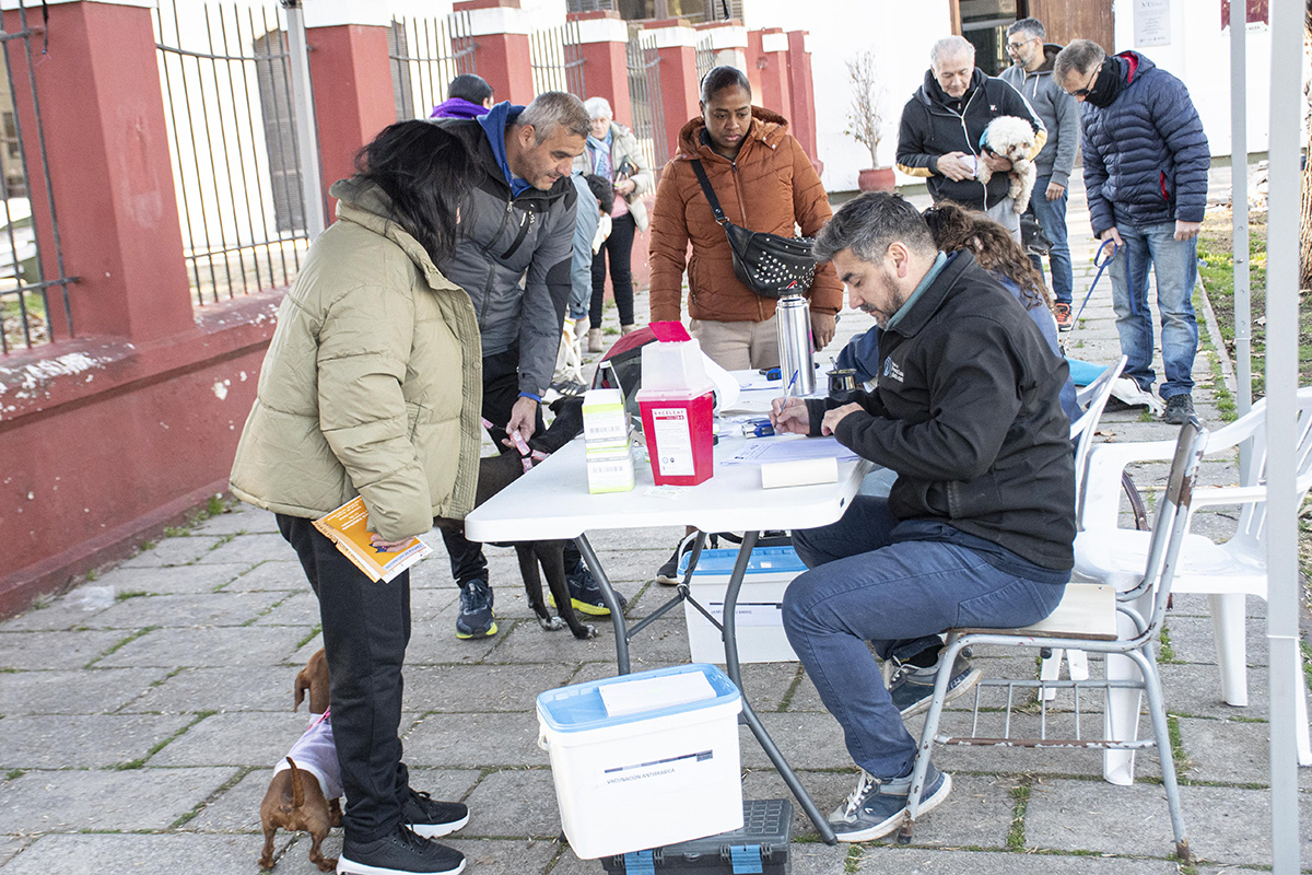 Vacunación antirrábica gratuita